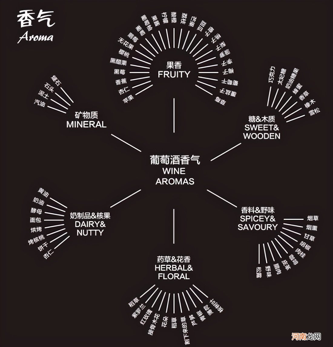 图解葡萄酒的基本知识 葡萄酒知识