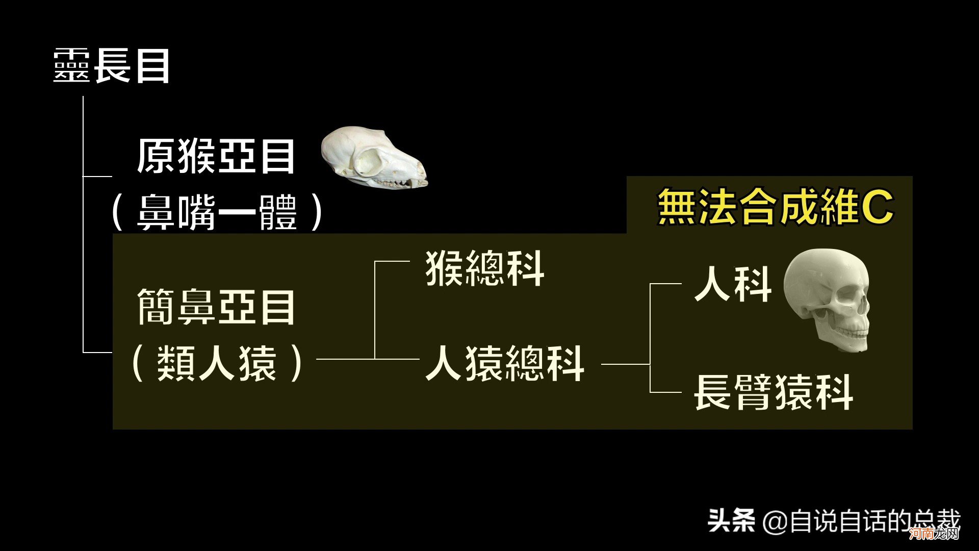 全世界都读柠檬Lemon 世界上最好的柠檬