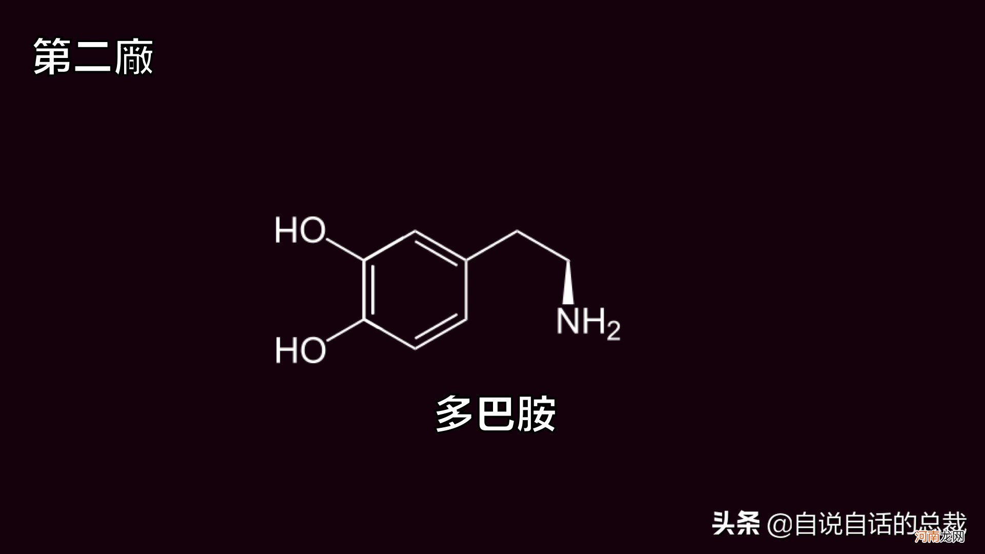 全世界都读柠檬Lemon 世界上最好的柠檬