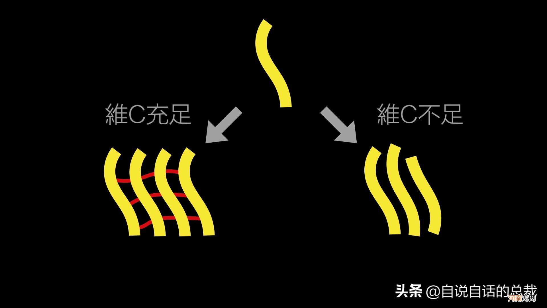 全世界都读柠檬Lemon 世界上最好的柠檬