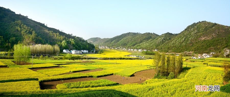 四月油菜花盛开，在富阳山水画中探索春天的气息，太美了