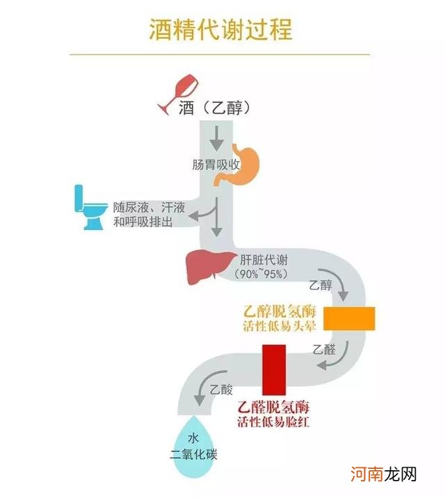 解酒最快的方法是什么 解酒最快的方法是什么？