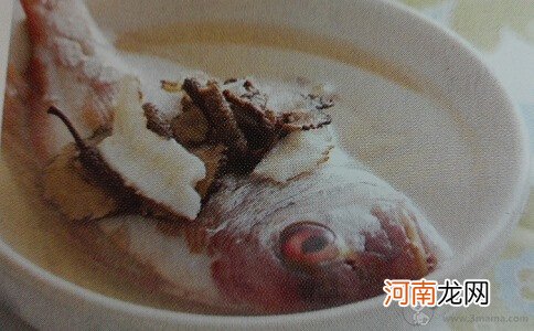 产后月子食谱 杜仲真鲷鱼