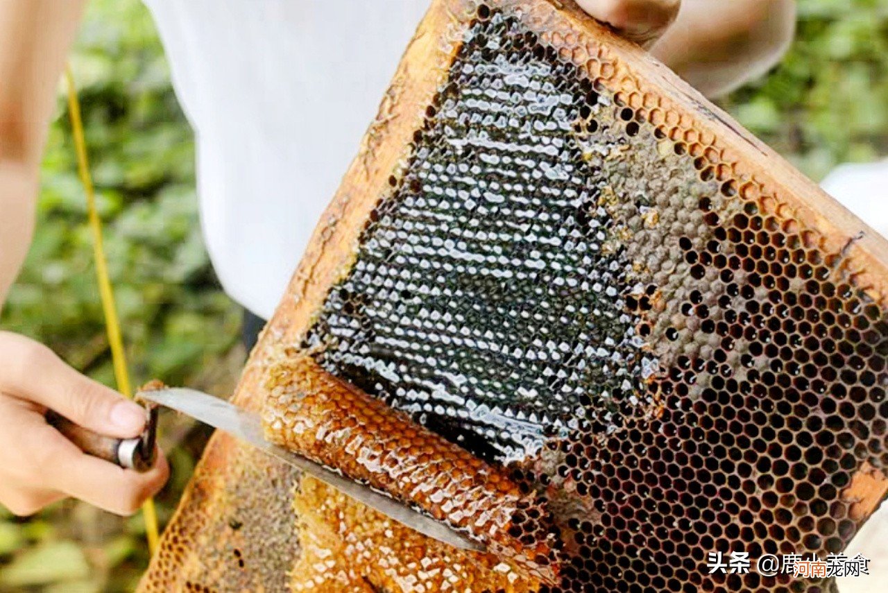 蜂蜜存放一年还能吃吗 蜂蜜存放一年还能吃吗？