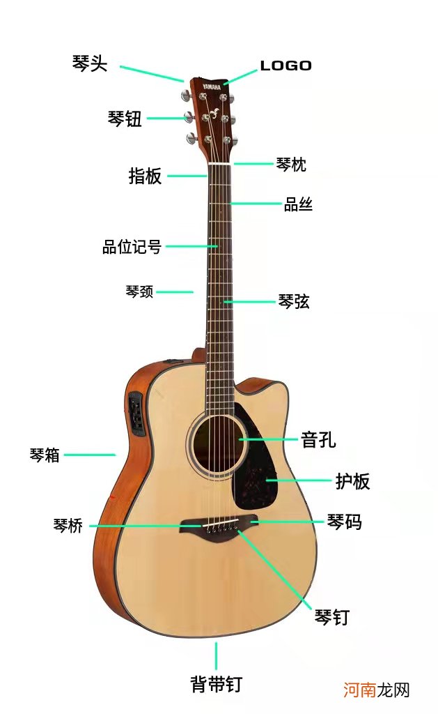 超基础知识 因为不知道吉他各部分的名字被同学欺负！