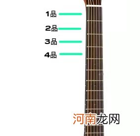 超基础知识 因为不知道吉他各部分的名字被同学欺负！