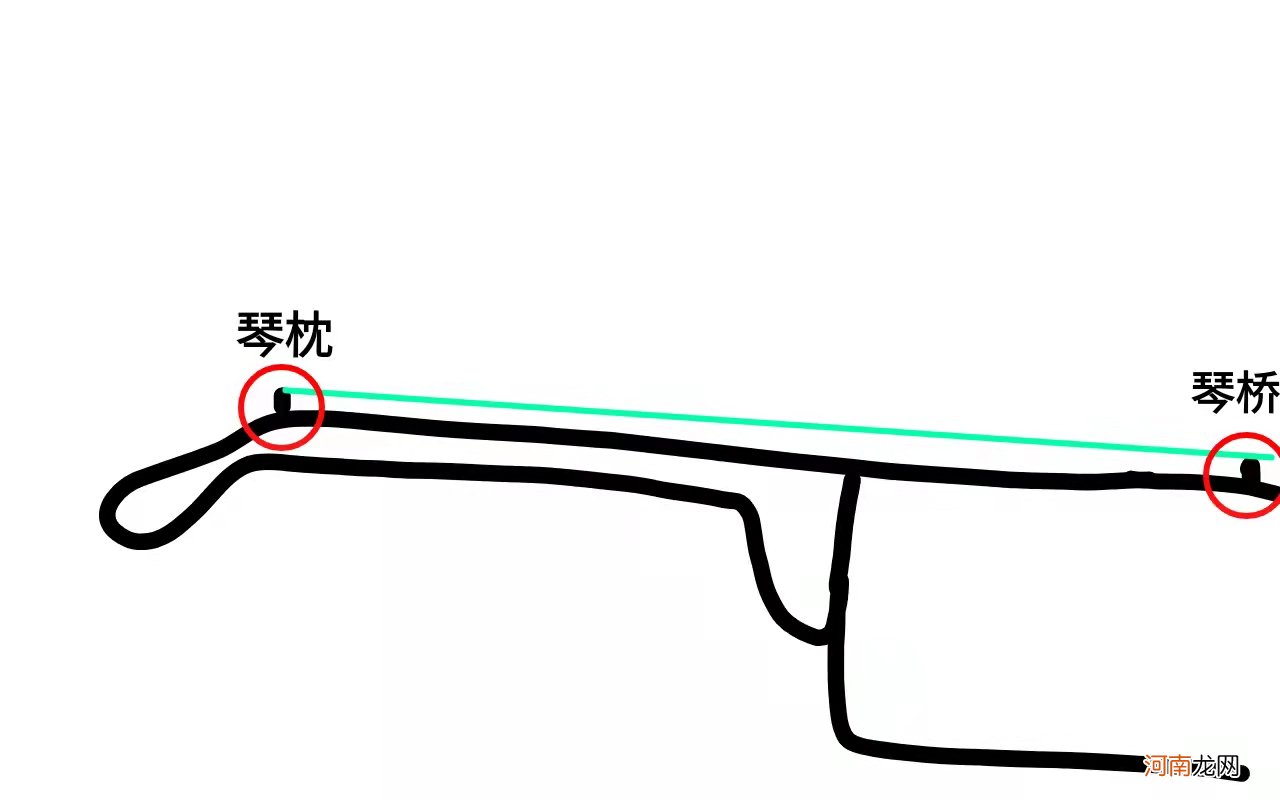 超基础知识 因为不知道吉他各部分的名字被同学欺负！