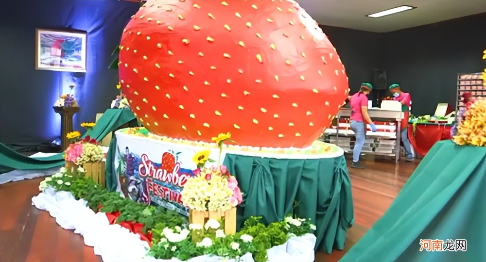 美国草莓队长在冷冻一年后被评为世界上最大的草莓