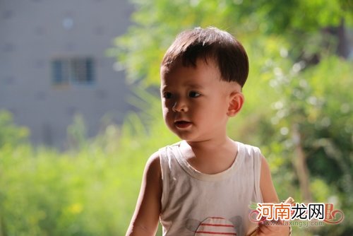 少年儿童剃剪潮流短头发发型全集 男孩聪明讨人喜欢短发造型图片赏析