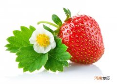 草莓能和虾一起吃吗？草莓能和芒果一起吃吗？
