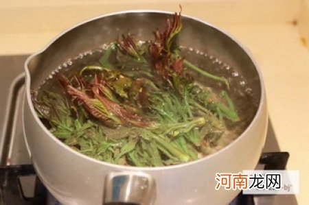 香椿拌豆腐的做法