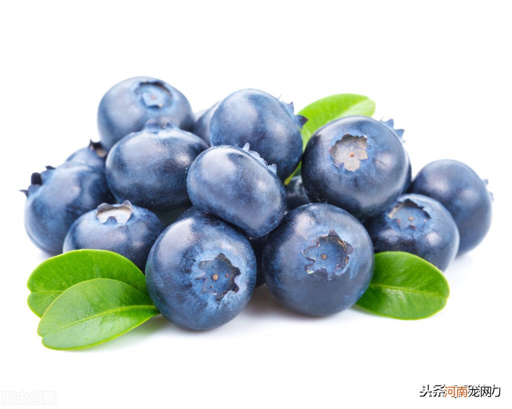 如何保存新鲜蓝莓