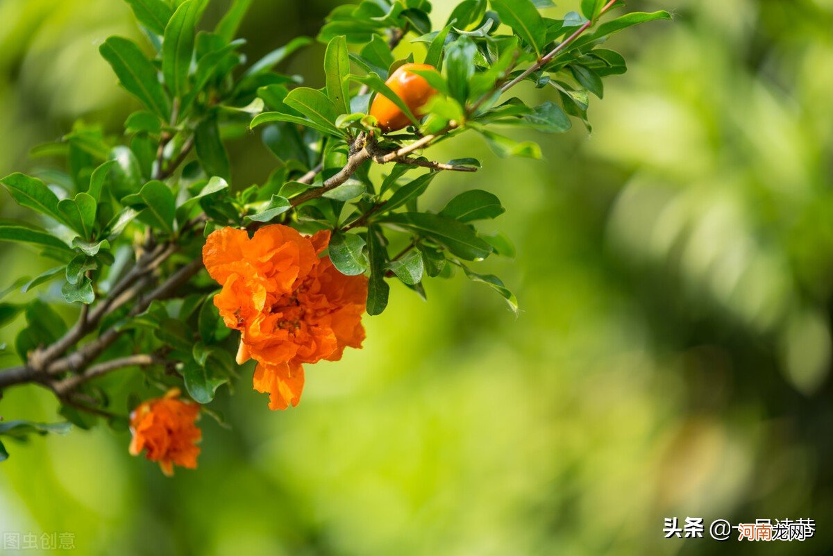 感受夏天独特的美，感受夏天的美