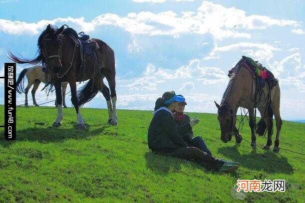 焉耆马的传说是什么？焉耆马的特性有那些？焉耆马简介