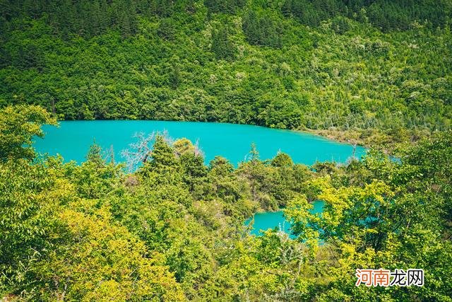 九寨沟的美不需要化妆 九寨沟的美不美