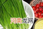 胖人减肥　应该吃哪些蔬菜？