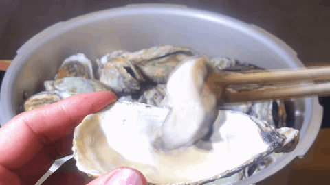 牡蛎烹饪的8种方法 牡蛎烹饪方法
