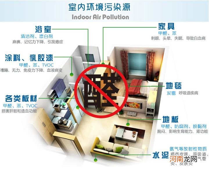 新房除甲醛的植物