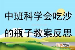 中班科学活动瓶子教案反思