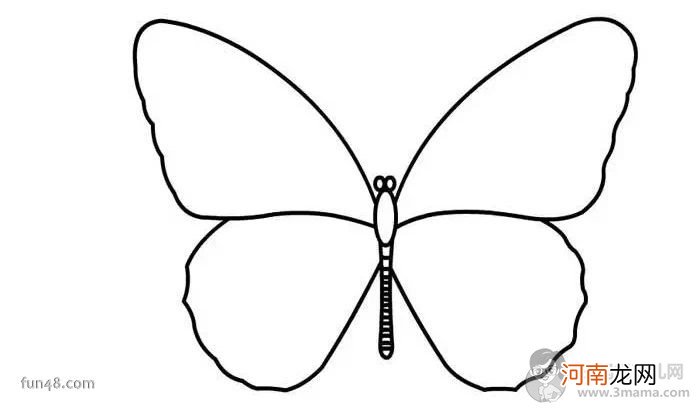 简笔画：蝴蝶的画法
