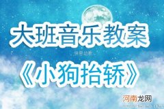 中班音乐活动《小狗抬轿》教案反思