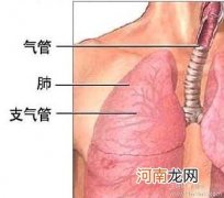 急性支气管炎与慢性支气管炎的鉴别