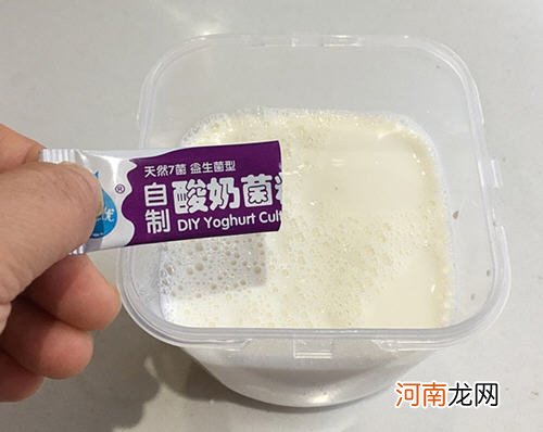酸奶盆栽面包机版