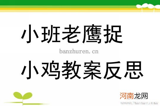 中班健康活动老鹰捉小鸡教案反思