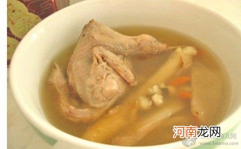 助孕食谱 温补鹌鹑汤