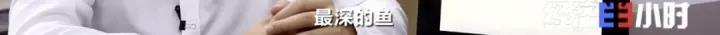 这个市场规模达56万亿元！产品远销20多个国家地区！又一个“蓝海”来了？