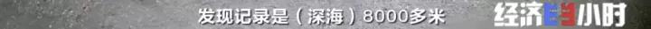 这个市场规模达56万亿元！产品远销20多个国家地区！又一个“蓝海”来了？