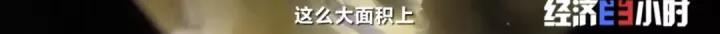 这个市场规模达56万亿元！产品远销20多个国家地区！又一个“蓝海”来了？