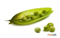 怎么学催乳师10种发奶的食物