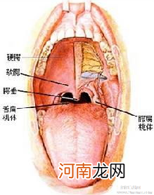 急性鼻咽炎有哪些症状