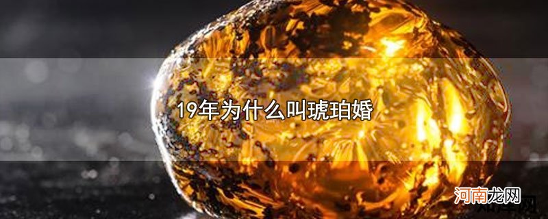 19年为什么叫琥珀婚