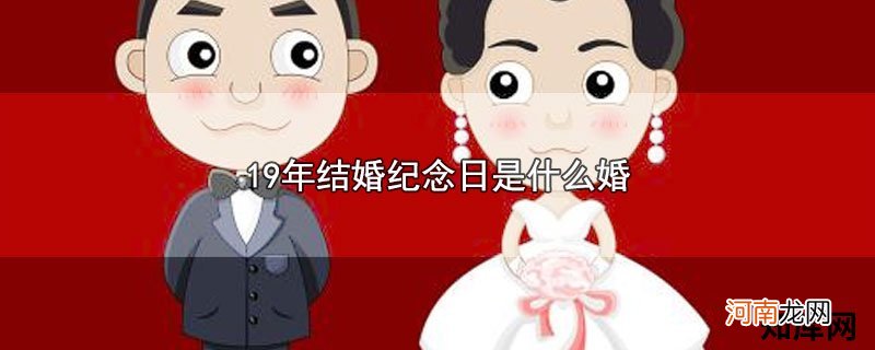 19年结婚纪念日是什么婚