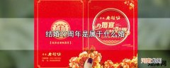 结婚22周年是属于什么婚