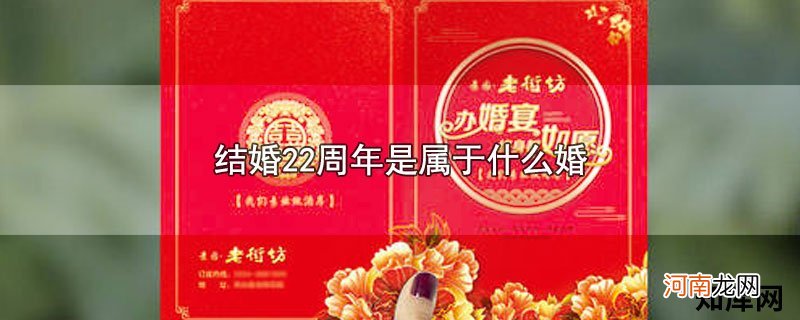 结婚22周年是属于什么婚