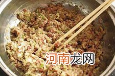 白菜猪肉饺子馅的做法