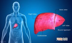 肝不容易告诉你它生病了，但身上出现5种变化，或者肝的求救信号