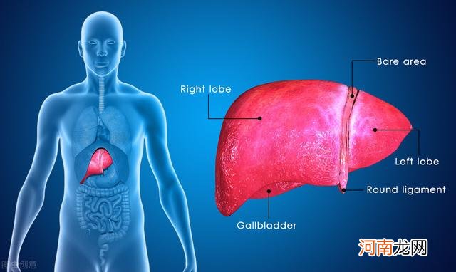 肝不容易告诉你它生病了，但身上出现5种变化，或者肝的求救信号