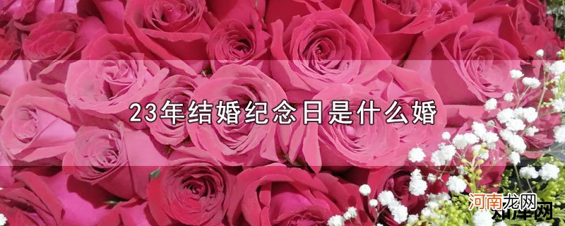 23年结婚纪念日是什么婚