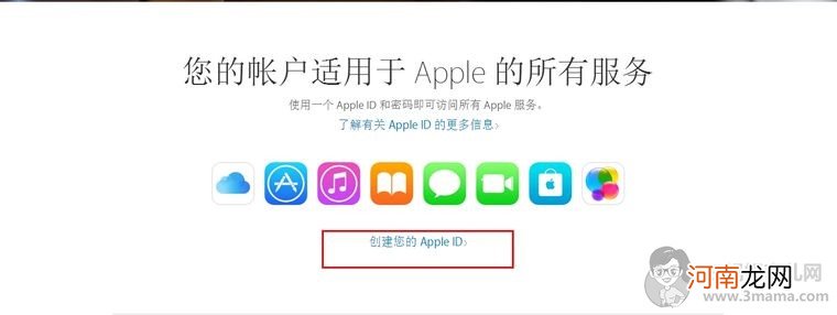 Apple ID里的电子邮件填什么