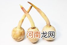 茨菰烧肉的做法全集