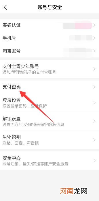 支付宝密码在哪里看