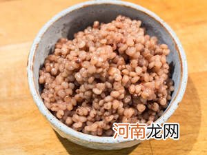 全素食高粱米咖喱饭