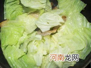 蚝油爆炒高丽菜猪五花肉