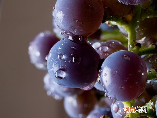 葡萄浑身都是宝，但这类葡萄“吃不得”，看一下你有没有误食？