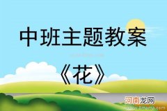 大班主题活动教案：我从哪里来教案