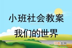 中班社会活动绝妙小世界教案反思